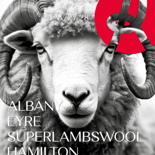 ALBANY - EYRE - SUPERLAMBSWOOL - HAMILTON