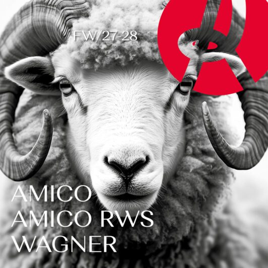 AMICO - AMICO RWS - WAGNER